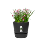 greenville round 25cm living black